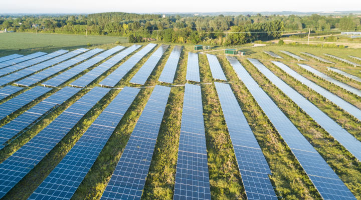Solar panels in a field