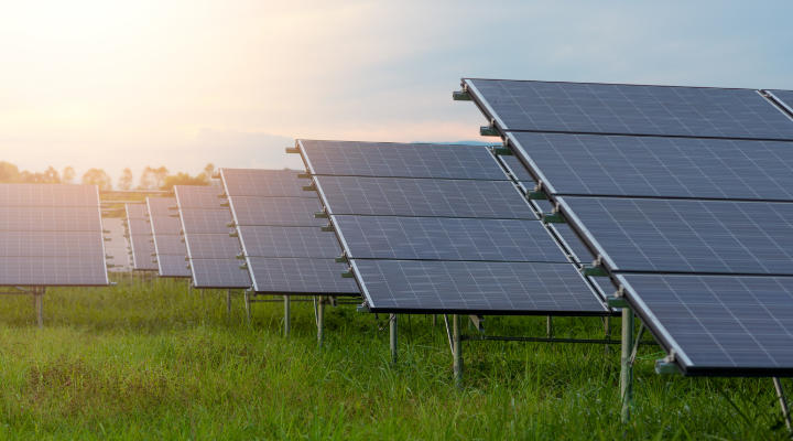 Solar panels in a field